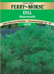 Ferry-Morse Herb Seeds 1627 Dill - Mammoth 1.5 Gram Packet