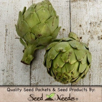 30 Vegetable Seeds, Artichoke Green Globe (Cynaria scolymus) Packaged By Seed Needs