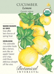 Lemon Cucumber Certified Organic Heirloom Seeds