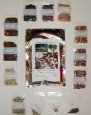 Survival Seed Kit, High Protein, 100% Heirloom/non GMO (Protein can be dangerously low in other seed kits)
