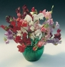 Flower Sweet Pea Royal Mix, Lathyrus odoratus 50 Heirloom Seeds by David's Garden Seeds