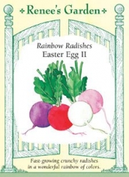 Radishes - Easter Egg II Seeds