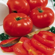 Beefsteak Tomato Heirloom Certified Organic Seeds