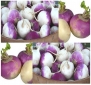 3,000 x PURPLE TOP WHITE GLOBE Turnip seeds - Flesh is tender, white and crisp. Can be eaten fresh or cooked like potatoes. The greens of this turnip contains even more nutrients than the roots - 50 Days