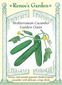 Cucumber, Garden Oasis
