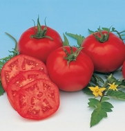 Slicing Tomato Moskvich D756A (Red) 25 Organic Heirloom Seeds by David's Garden Seeds