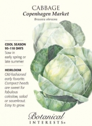 Copenhagen Market Cabbage Seeds - 1.5 grams - Botanical Interests
