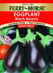 Ferry-Morse 1287 Eggplant Seeds, Black Beauty (200 Milligram Packet)