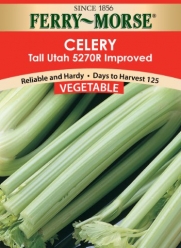 Ferry-Morse Seeds 1262 Celery - Tall Utah 450 Milligram Packet