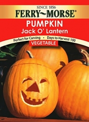 Ferry-Morse Seeds 1348 Pumpkin - Jack-O-Lantern 4.7 Gram Packet