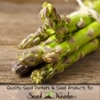 85 Seeds, Asparagus Mary Washington (Asparagus officinalis) Seeds By Seed Needs