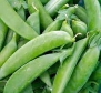 Pea Seed, Sugar Snap Pea, Heirloom, Organic, Non Gmo, 20+ Seeds, Perfect Peas