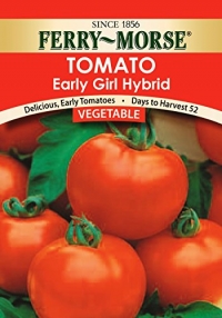 Ferry-Morse Seeds 1398 Tomato - Early Girl Hybrid 550 Milligram Packet