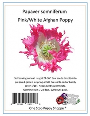 Afghan Poppy Pink / 100 White Seeds - Papaver Somniferum. One Stop Poppy Shoppe® Brand.