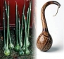 Large Fruited Dipper Gourd 10 Seeds - Craft Project!