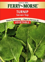 Ferry-Morse 1412 Turnip Seeds, Seven Top, Green (4 Gram Packet) (Discontinued by Manufacturer)