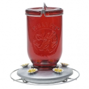 Perky-Pet 786 Red Mason Jar Glass Hummingbird Feeder