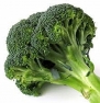 Broccoli, Calabrese Broccoli Seeds, Organic, NON-GMO, The flavor of this broccoli will make you never buy store-bought again.
