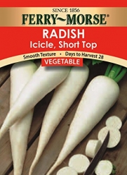 Ferry-Morse Seeds 1352 Radish - Icicle, Short Top 3.75 Gram Packet