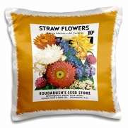 BLN Vintage Seed Packet Reproductions - Straw Flowers Choice Mixture Vintage Seed Packet Reproduction - 16x16 inch Pillow Case (pc_170815_1)