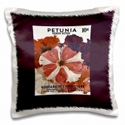 BLN Vintage Seed Packet Reproductions - Petunia Rainbow Mixture Red and White, Red and Purple Flowers - 16x16 inch Pillow Case (pc_170703_1)