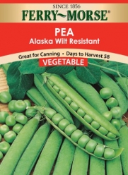 Ferry-Morse Seeds 1453 Peas - Alaska 28 Gram Packet