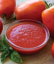 SuperSauce Hybrid Tomato 150 Seeds #1880 Item Upc#650348692117