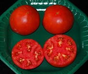 Tomato Beefsteak Tycoon DK30046 (Red) 25 Hybrid Seeds by David's Garden Seeds