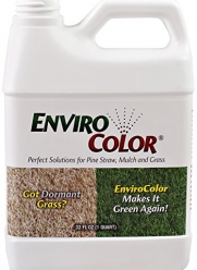 1,000 Sq. Ft. 4EverGreen Grass and Turf Paint