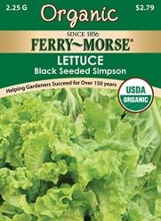 Ferry-Morse Organic Seeds 3061 Lettuce - Black Seeded Simpson 2.25 Gram Packet