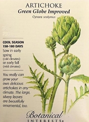 Green Globe Improved Artichoke Seeds - 7.5 grams - Botanical Interests