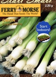 Ferry-Morse Seeds 2040 Green Onion - Evergreen Bunching 2.2 Gram Packet