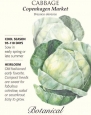 Copenhagen Market Cabbage Seeds - 1.5 grams - Botanical Interests