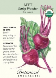 Early Wonder Beet Seeds - 2 grams - Organic