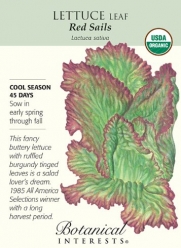 Red Sails Lettuce Seeds - .75 grams - Organic