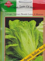Bionda Lenta A Montare Lettuce - 4800 Seeds - Italy
