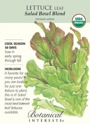Salad Bowl Blend Leaf Lettuce Seeds - 1.5 g - Organic