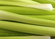 Celery Golden Pascal Great Heirloom Vegetable 500 Seeds