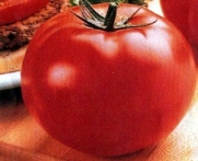 Big Beef Hybrid Tomato 45 Seeds -Colossal Fruit Size!