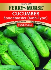 Ferry-Morse 1279 Cucumber Seeds, Spacemaster (800 Milligram Packet)