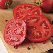 Better Bush Improved Hybrid Tomato 200 Seeds By Jays Seeds