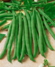 Jade Bush Bean Seeds - Phaseolus Vulgaris - 7 Grams - Approx 25 Gardening Seeds - Vegetable Garden Seed