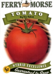 Ferry-Morse 1395 Tomato Seeds, Big Boy Hybrid (590 Milligram Packet)