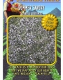 Everwilde Farms - Summer Savory Herb Seeds - Jumbo Seed Packet (2000)