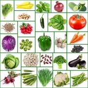 Vegetable seeds-high protein 6 different types of beans-heirloom seeds-27 varieties