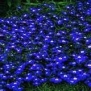 200 Electric Blue & White HALF MOON LOBELIA Erinus Flower Seeds