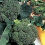 Seeds and Things Organic Broccoli Green Sprouting 150+ Seeds