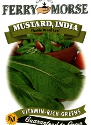 Ferry-Morse 1311 Mustard Green Seeds, Florida Broad Leaf (2 Gram Packet)