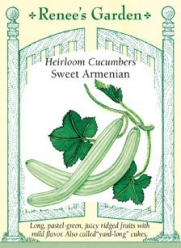 Sweet Armenian Cucumber Heirloom Seeds 40 Seeds