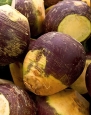 Virgin Seed Supply Purple Top Rutabaga 900 Count Seed Pack-Non-GMO Organic Heirlooom -Used in Casseroles, Soup
